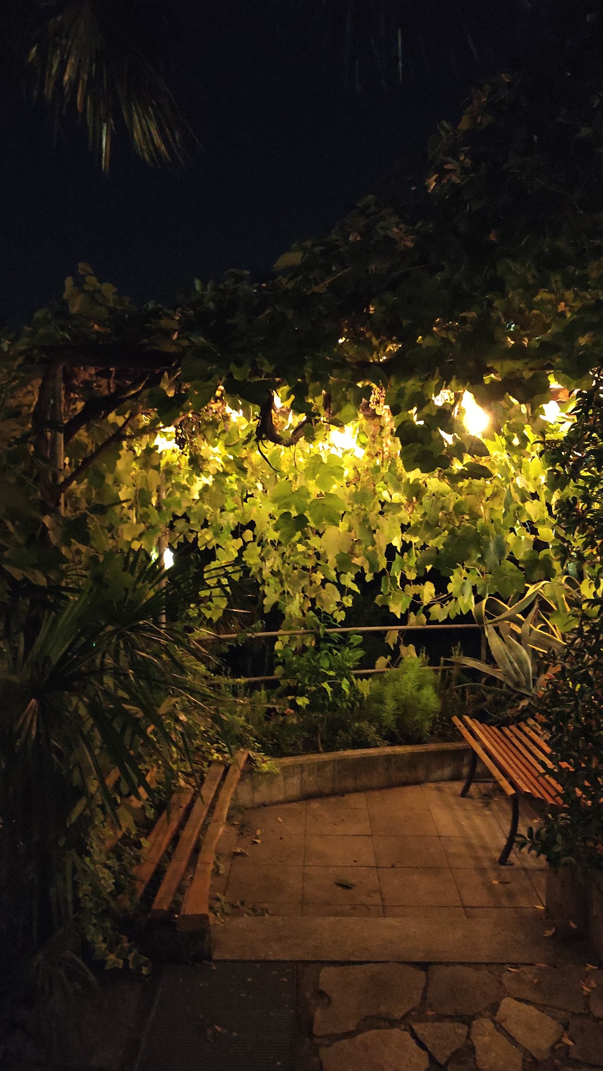 Agriturismo La Vigna - 8